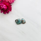 Small Mixed Mixed Carico Lake Turquoise, Set of 2 Background