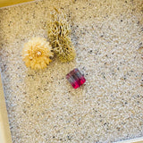 Small Bicolor Bar Tourmaline Tourmaline Background