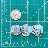 Large Sky Blue Freeform Golden Hills Turquoise, Set of 3 Dimensions