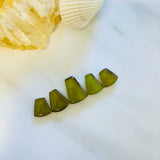 Small Swamp Green Trapezoid Rosarita, Set of 5 Background