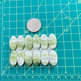 Medium Lime Green Oval Green Serpentine Serpentine, Set of 12 Dimensions
