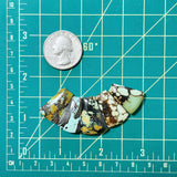 Medium Mixed Petal Mixed Turquoise, Set of 5 Dimensions
