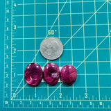 Large Purple Oval Spiny Oyster, Set of 3 Dimensions