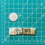 Large Pale Brown Square Crescent Lake Variscite, Set of 4 Dimensions