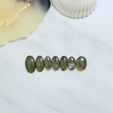 Medium Swamp Green Oval Rosarita, Set of 7 Background
