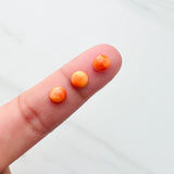 6x6mm Round Spiny Oyster, Set of 4