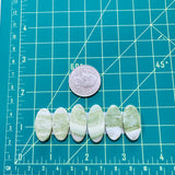Medium Lime Green Oval Green Serpentine Serpentine, Set of 6 Dimensions