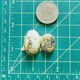 Large Royal Orange Oval Crescent Lake Variscite, Set of 2 Dimensions