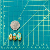 Medium Sea Green Mixed Carico Lake Turquoise, Set of 3 Dimensions