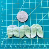 Medium Lime Green Freeform Green Serpentine Serpentine, Set of 6 Dimensions