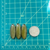 Large Swamp Green Surfboard Rosarita, Set of 3 Dimensions