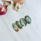 Large Mixed Oval Crescent Lake Variscite, Set of 4 Background