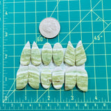 Medium Lime Green Mixed Green Serpentine Serpentine, Set of 12 Dimensions