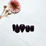 Large Purple Mixed Spiny Oyster, Set of 5 Background