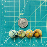 Medium Mixed Round Mixed Turquoise, Set of 4 Dimensions