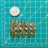 Medium Swamp Green Round Rosarita, Set of 10 Dimensions