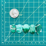 Large Mint Green Mixed Crescent Lake Variscite, Set of 5 Dimensions