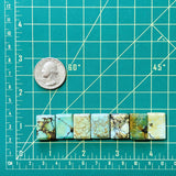 Large Mixed Bar Mixed Turquoise, Set of 7 Dimensions