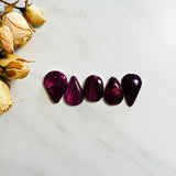 Medium Purple Teardrop Spiny Oyster, Set of 5 Background