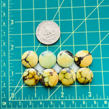 Medium Royal Orange Round Treasure Mountain Turquoise, Set of 8 Dimensions
