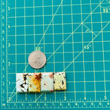 Large Mixed Bar Mixed Turquoise, Set of 4 Dimensions