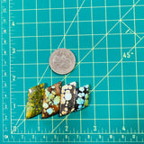 Large Mixed Freeform Mixed Turquoise, Set of 4 Dimensions