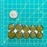 Medium Swamp Green Round Rosarita, Set of 10 Dimensions