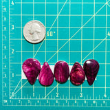 Medium Purple Teardrop Spiny Oyster, Set of 5 Dimensions