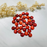 8x8mm Round Spiny Oyster, Set of 2