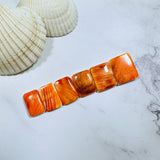 Medium Royal Orange Barrel Spiny Oyster, Set of 6 Background