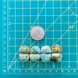 Medium Lime Green Half Moon Green Serpentine Serpentine, Set of 8 Dimensions