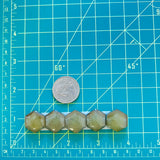 Medium Swamp Green Hexagon Rosarita, Set of 5 Dimensions