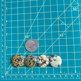 Large Royal Orange Round Treasure Mountain Turquoise, Set of 4 Dimensions