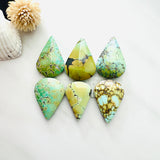 Large Mixed Teardrop Mixed Turquoise, Set of 6 Background