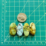 Large Mixed Oval Mixed Turquoise, Set of 4 Dimensions
