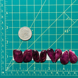 Medium Purple Mixed Spiny Oyster, Set of 8 Dimensions