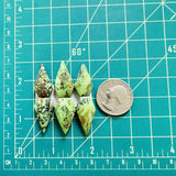 Medium Sea Green Shield Yungai Turquoise, Set of 6 Dimensions
