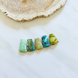 Medium Mixed Freeform Mixed Turquoise, Set of 5 Background