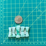 Small Lime Green Petal Broken Arrow Variscite, Set of 10 Dimensions