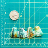 Large Sea Green Petal Crescent Lake Variscite, Set of 4 Dimensions