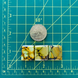 Medium Royal Orange Square Treasure Mountain Turquoise, Set of 3 Dimensions