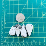 Large White Teardrop White Buffalo Dolomite, Set of 4 Dimensions
