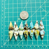 Medium Mixed Shield Mixed Turquoise, Set of 14 Dimensions