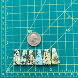 Medium Mixed Trapezoid Mixed Turquoise, Set of 6 Dimensions
