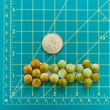 Small Royal Orange Round Treasure Mountain Turquoise, Set of 21 Dimensions