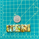 Medium Mixed Bar Mixed Turquoise, Set of 8 Dimensions