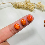 8x10mm Oval Spiny Oyster, Set of 2
