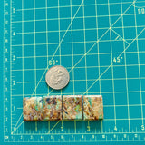 Medium Royal Orange Bar Green Serpentine Serpentine, Set of 4 Dimensions