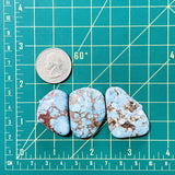 Large Sky Blue Freeform Golden Hills Turquoise, Set of 3 Dimensions