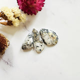 Medium White Freeform White Buffalo Dolomite, Set of 3 Background